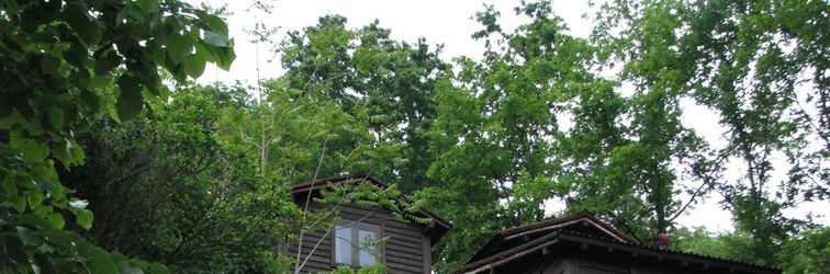 Others Kulindağ Dağ Evi