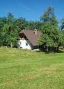 Room Chalet Kupljenik Near Bled Lake