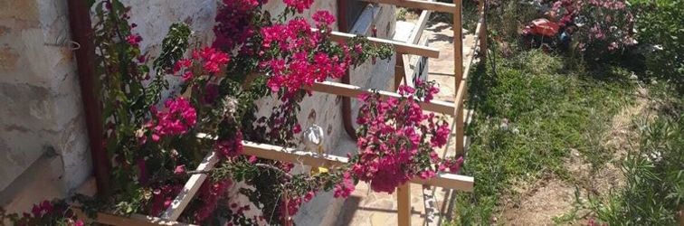 其他 ISTLADA TAS EV APART