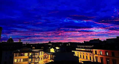 その他 2 Garden Blue