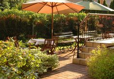 기타 3 U Pana Cogito