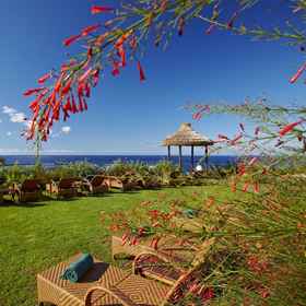 Primary image 1 더 레지던스 앳 빌라 포르토 마레, 푼샬 호텔