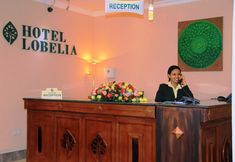 其他 4 Hotel Lobelia