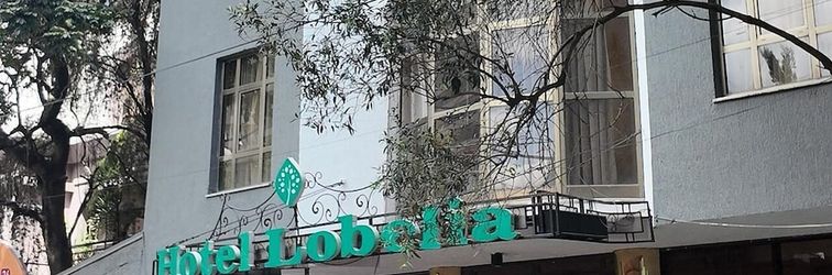 其他 Hotel Lobelia