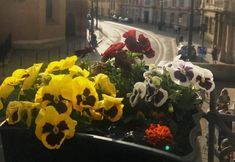 Lainnya 2 Krakow Apartments & Rooms