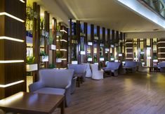 其他 7 Washington Resort Hotel - All Inclusive