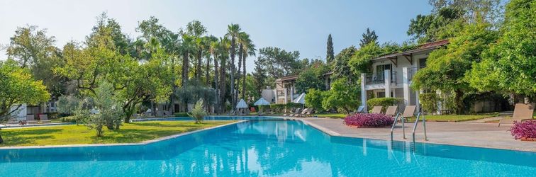 기타 Sherwood Exclusive Kemer