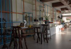 기타 6 Costa Pacifica