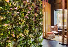 기타 3 Lighthouse by Brown Hotels