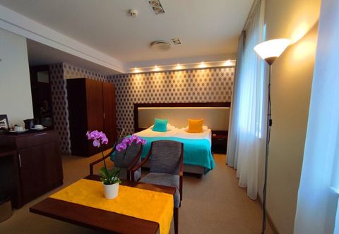 기타 Hotel Zamek Centrum