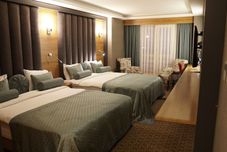 其他 Green Prusa Hotel