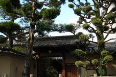 Lain-lain Guesthouse Nara Backpackers