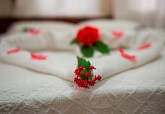 其他 6 Han Dalyan Hotel