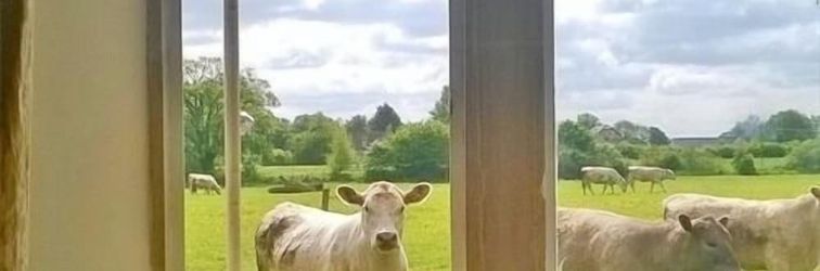 Others Battens Farm Cottages - B&B and Self-catering Accommodation