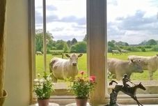 Others Battens Farm Cottages - B&B and Self-catering Accommodation