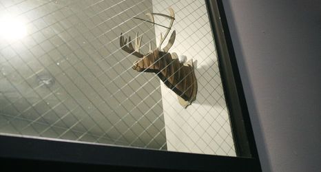 其他 2 Hostel Beige 2nd