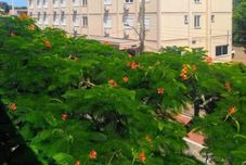 其他 Hotel Ville House Premium