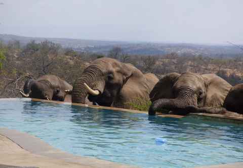 Lainnya Mbizi Bush Lodge