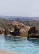 Primary image Mbizi Bush Lodge