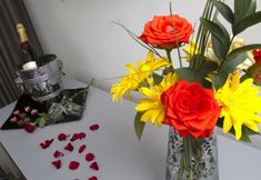 기타 6 Hotel Black Tulip - Porto Gaia