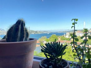 Khác 4 Flat With Bosphorus View and Backyard in Uskudar