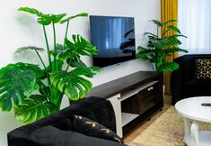 Others 6 SANTORINA HOME SUITES