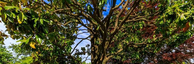 其他 Villa Giulietta Family Child and Pet Frie