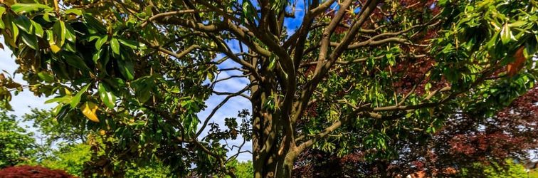 其他 Villa Giulietta Family Child and Pet Frie