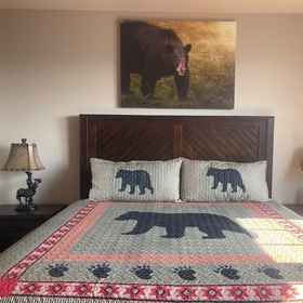 Room1Bearadise Dreams,Pigeon Forge飯店