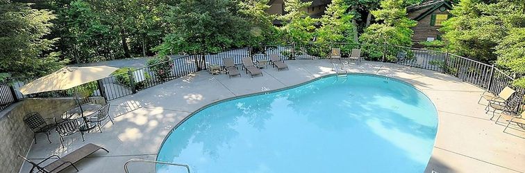 其他 3 Bears 1 Bedroom