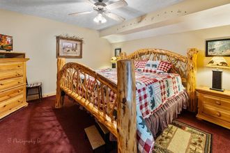 其他 4 3 Bears 1 Bedroom