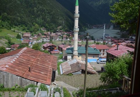 其他 Granoglu Apart