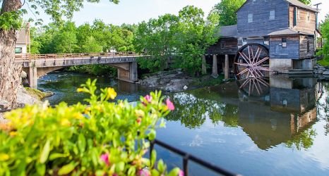 其他 2 Whispering Pines 124