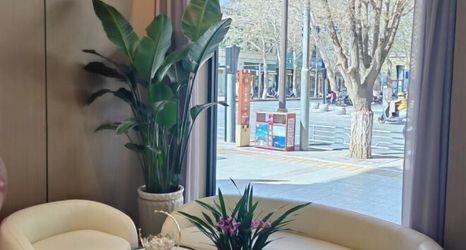 その他 2 Bowen Elegant Hotel (Dunhuang Night Market Shop)