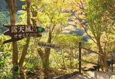 其他 3 Kirishima Momijidani Seiryuso