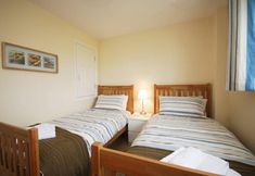 기타 3 House Martins