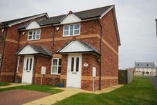 기타 House Martins