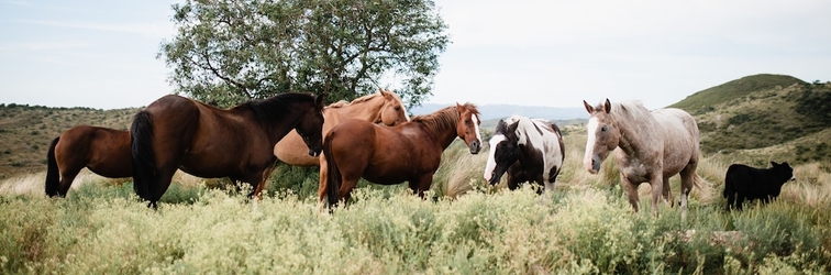 Lainnya Estancia Acuarela del Rio