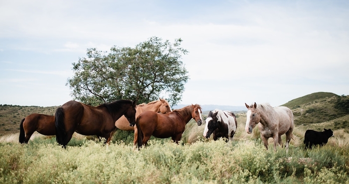 Lainnya Estancia Acuarela del Rio