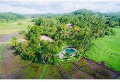 Others 3 Romantic Honeymoon Villa Overlooking Rice Fields
