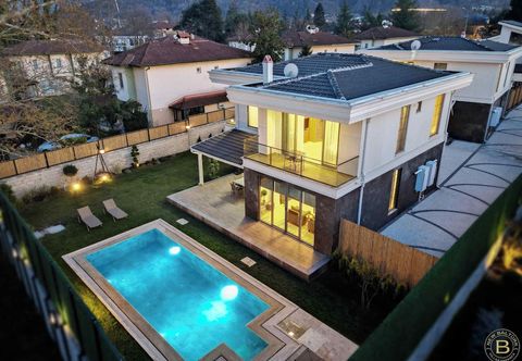 其他 New Balturk Villas Sapanca