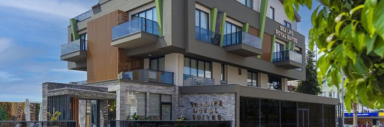 其他 Sealife Royal