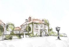 其他 3 The Bradley Hare