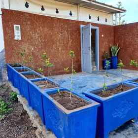 Primary image 1 摩洛哥香蕉海滩房子, 塔德拉特 公寓