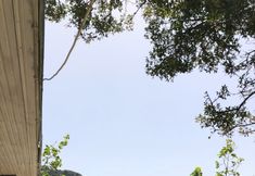 อื่นๆ 7 Özdemir Butik Otel ve Restaurant