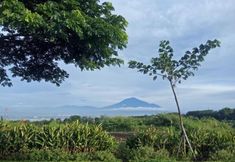 Others 2 The Valley Guesthouse