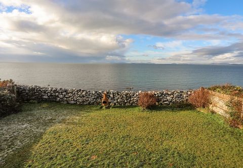 その他 Bramble Bank