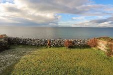 その他 Bramble Bank