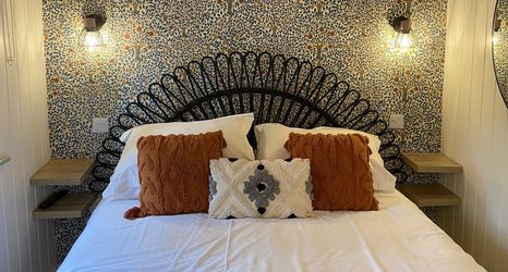 Khác 2 Red Squirrels Drey