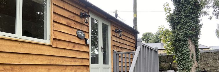 Khác Red Squirrels Drey